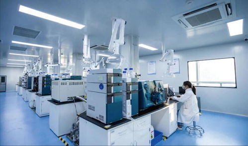 中原科技城 生命科学产业新引擎，技术服务驱动未来健康新变革